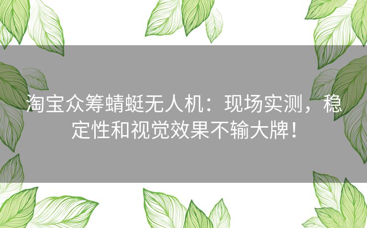 淘宝众筹蜻蜓无人机：现场实测，稳定性和视觉效果不输大牌！