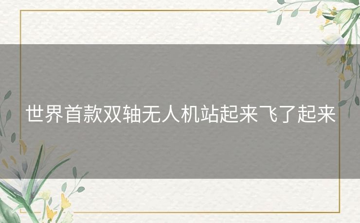 世界首款双轴无人机站起来飞了起来