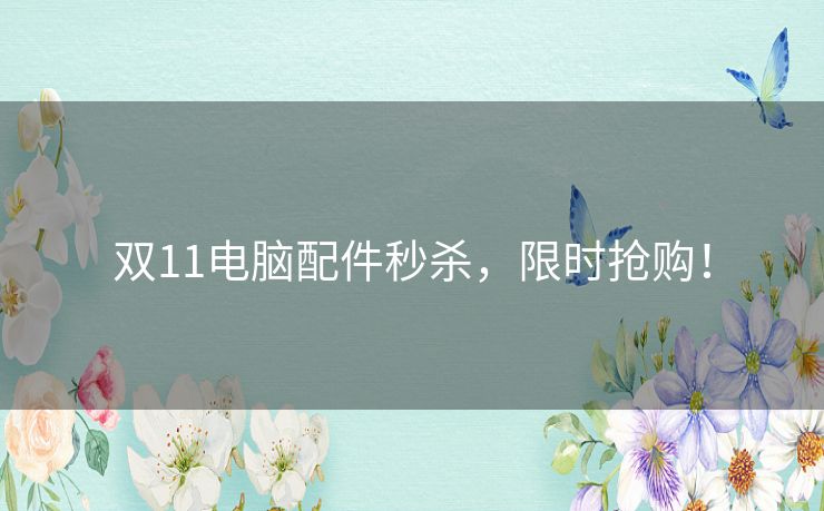 双11电脑配件秒杀，限时抢购！