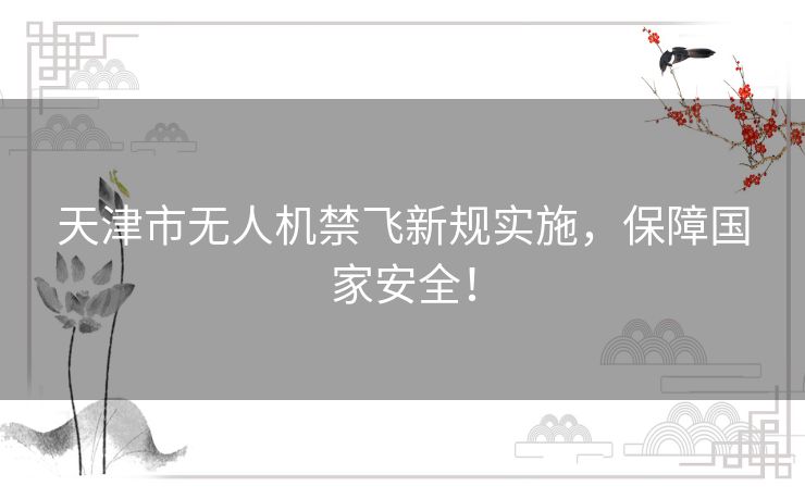 天津市无人机禁飞新规实施，保障国家安全！