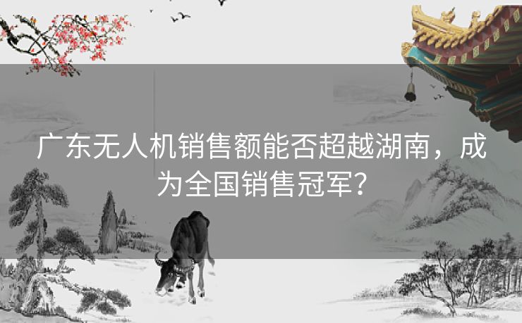广东无人机销售额能否超越湖南，成为全国销售冠军？