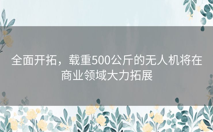 全面开拓，载重500公斤的无人机将在商业领域大力拓展