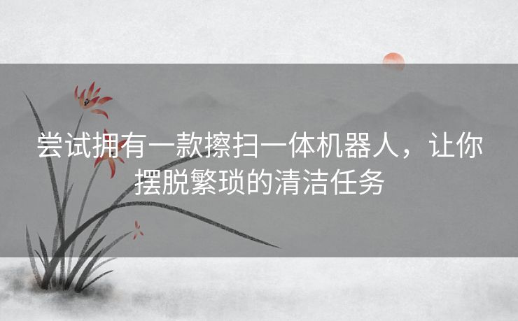 尝试拥有一款擦扫一体机器人，让你摆脱繁琐的清洁任务