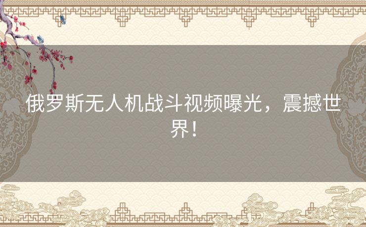 俄罗斯无人机战斗视频曝光，震撼世界！