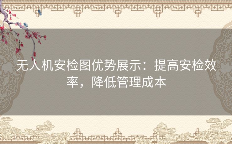 无人机安检图优势展示：提高安检效率，降低管理成本