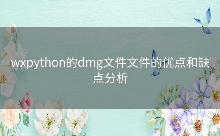 wxpython的dmg文件文件的优点和缺点分析