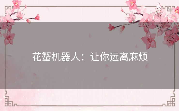 花蟹机器人：让你远离麻烦