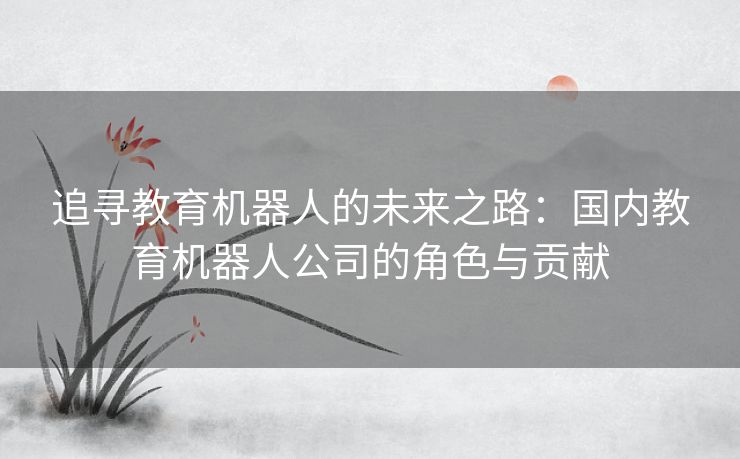 追寻教育机器人的未来之路：国内教育机器人公司的角色与贡献
