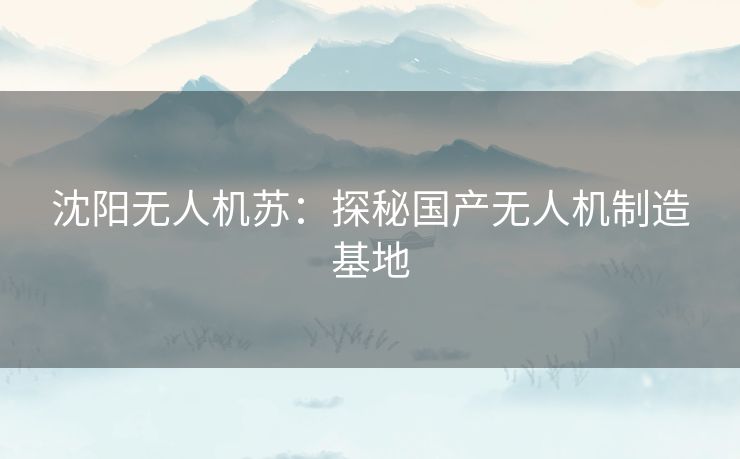 沈阳无人机苏：探秘国产无人机制造基地