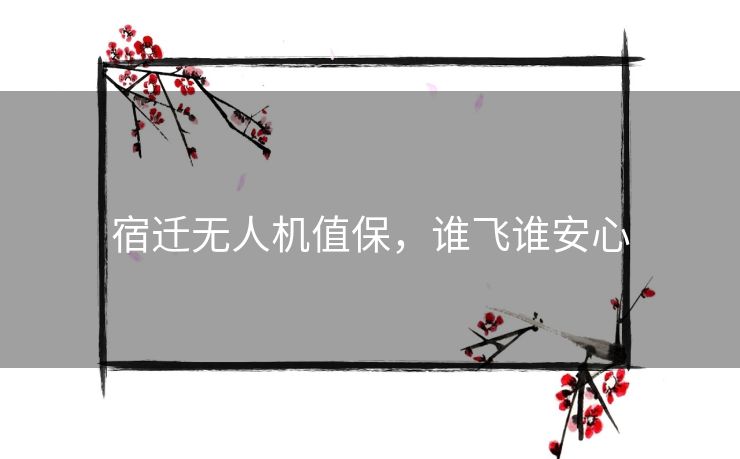 宿迁无人机值保，谁飞谁安心