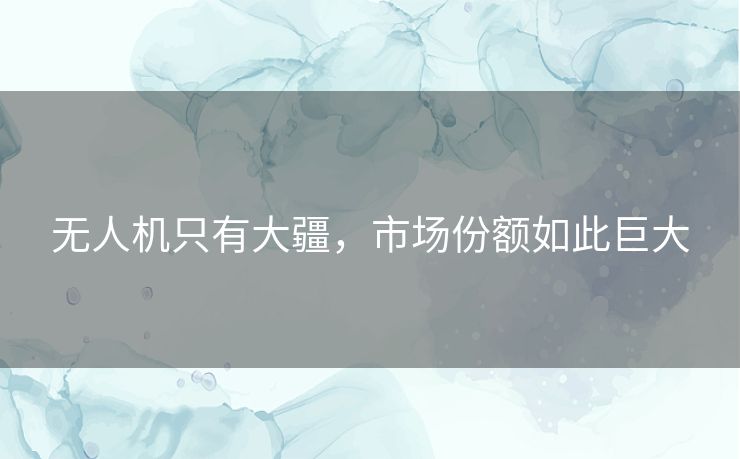 无人机只有大疆，市场份额如此巨大