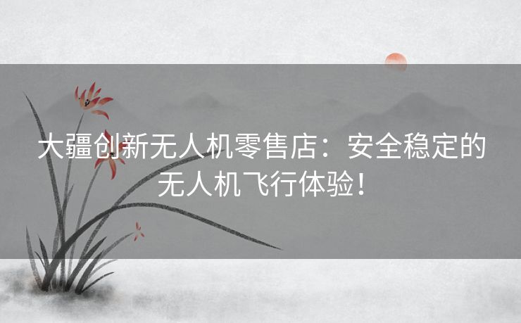大疆创新无人机零售店：安全稳定的无人机飞行体验！
