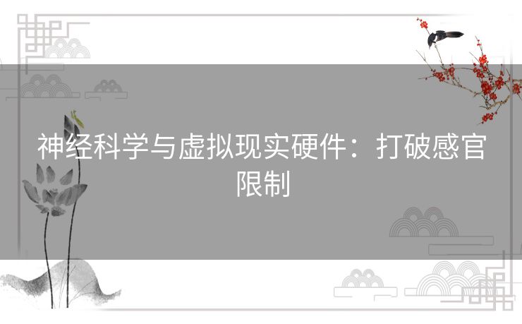 神经科学与虚拟现实硬件：打破感官限制