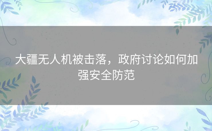 大疆无人机被击落，政府讨论如何加强安全防范