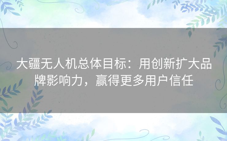 大疆无人机总体目标：用创新扩大品牌影响力，赢得更多用户信任