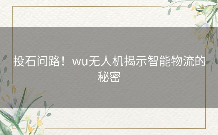 投石问路！wu无人机揭示智能物流的秘密