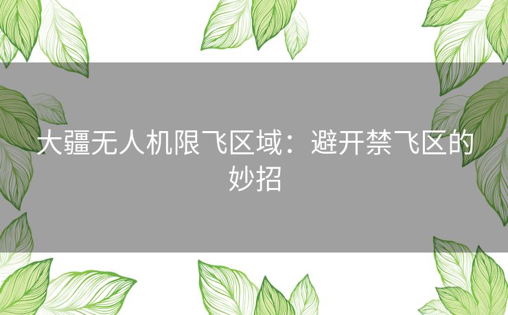 大疆无人机限飞区域：避开禁飞区的妙招