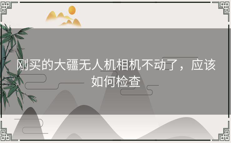 刚买的大疆无人机相机不动了，应该如何检查