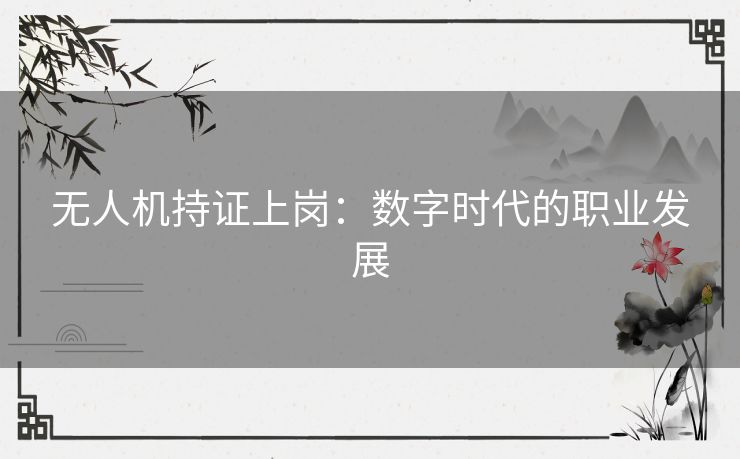 无人机持证上岗：数字时代的职业发展