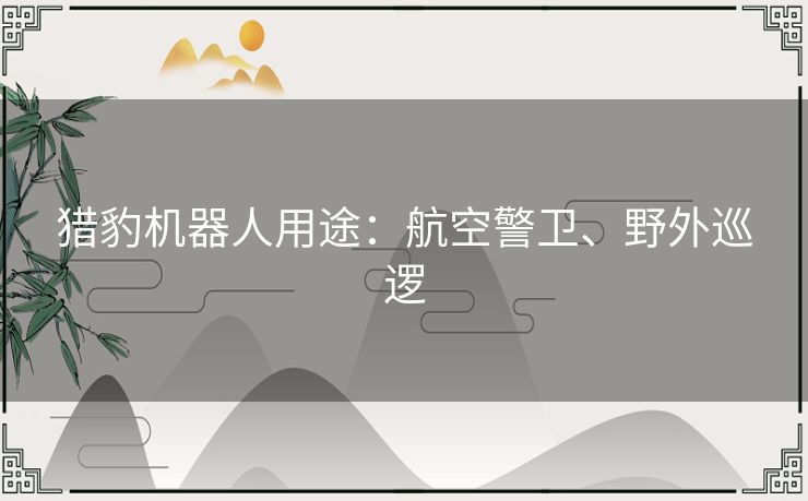猎豹机器人用途：航空警卫、野外巡逻