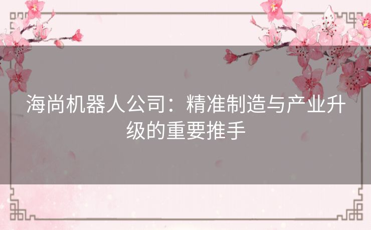 海尚机器人公司：精准制造与产业升级的重要推手