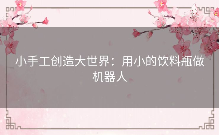 小手工创造大世界：用小的饮料瓶做机器人