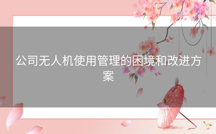 公司无人机使用管理的困境和改进方案