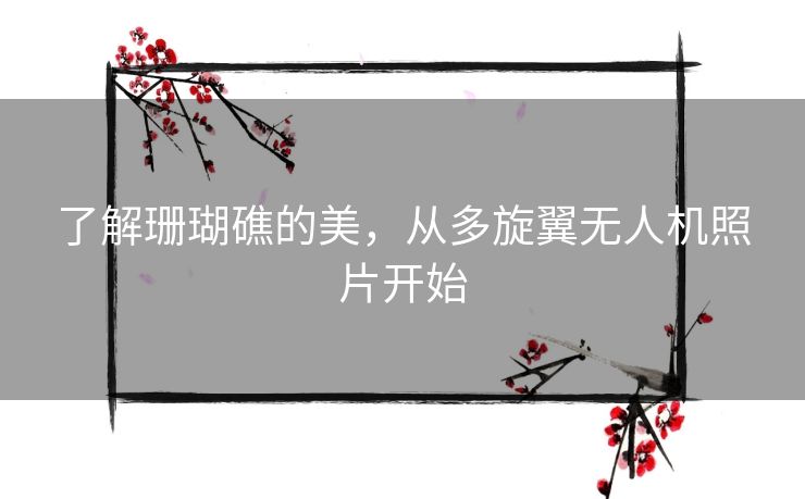 了解珊瑚礁的美，从多旋翼无人机照片开始
