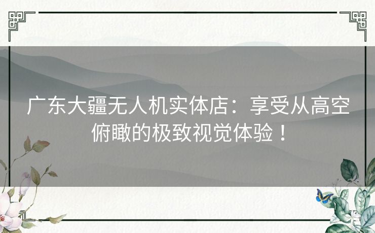 广东大疆无人机实体店：享受从高空俯瞰的极致视觉体验 ！