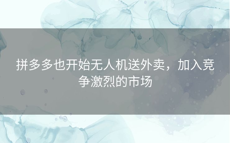 拼多多也开始无人机送外卖，加入竞争激烈的市场