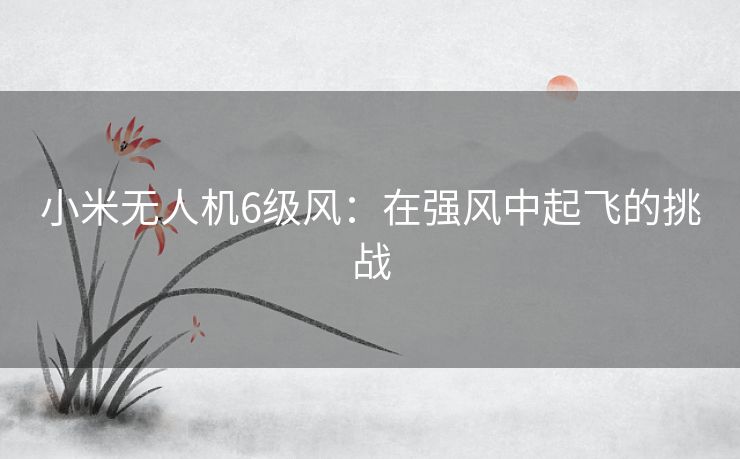 小米无人机6级风：在强风中起飞的挑战