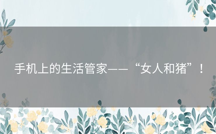 手机上的生活管家——“女人和猪”！