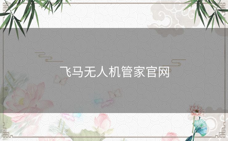 飞马无人机管家官网