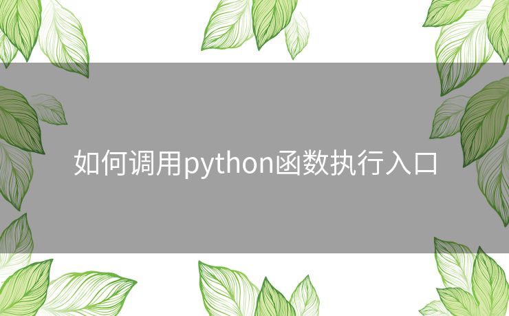 如何调用python函数执行入口