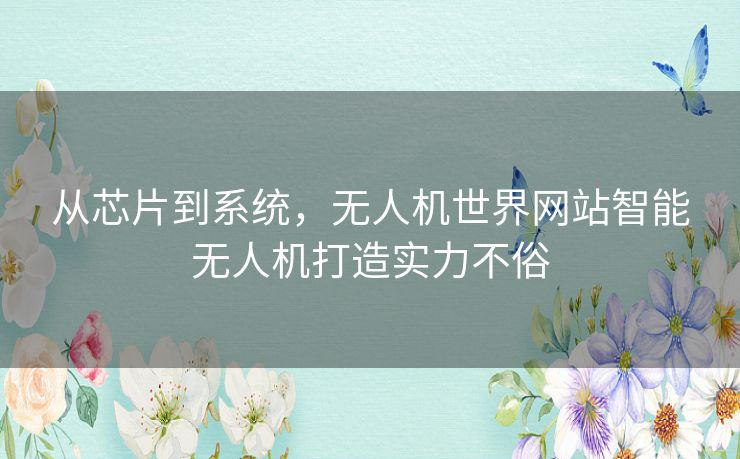 从芯片到系统，无人机世界网站智能无人机打造实力不俗