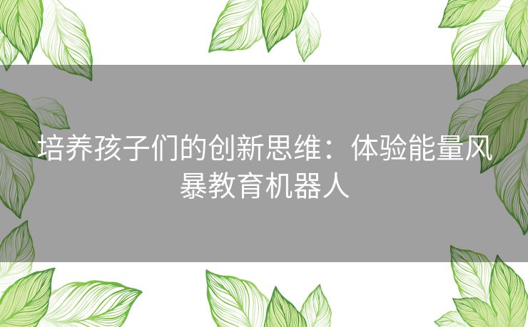 培养孩子们的创新思维：体验能量风暴教育机器人