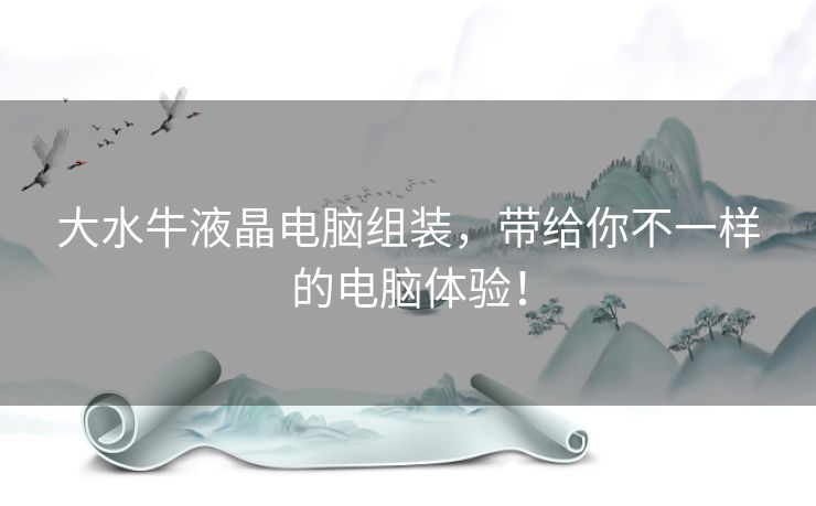 大水牛液晶电脑组装，带给你不一样的电脑体验！