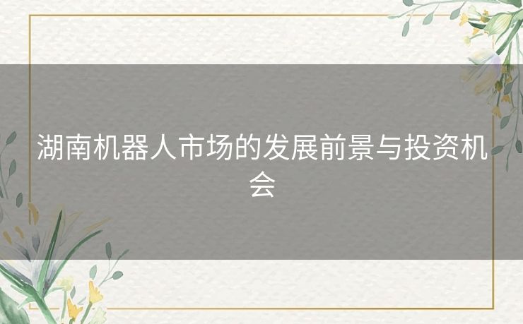 湖南机器人市场的发展前景与投资机会