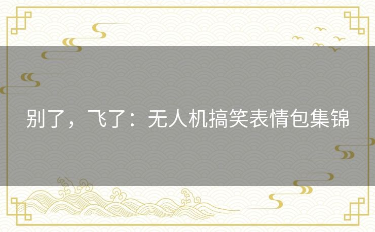 别了，飞了：无人机搞笑表情包集锦