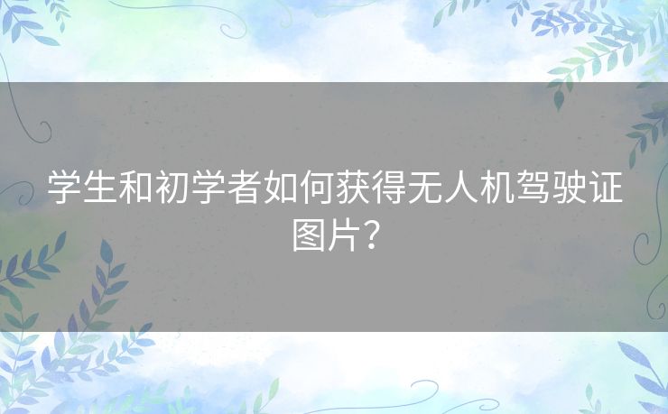 学生和初学者如何获得无人机驾驶证图片？