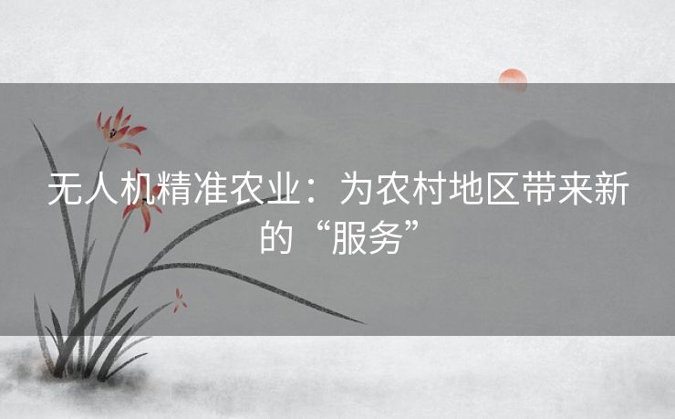 无人机精准农业：为农村地区带来新的“服务”