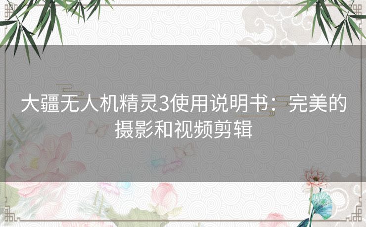 大疆无人机精灵3使用说明书：完美的摄影和视频剪辑