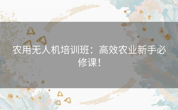 农用无人机培训班：高效农业新手必修课！