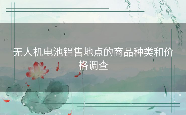 无人机电池销售地点的商品种类和价格调查