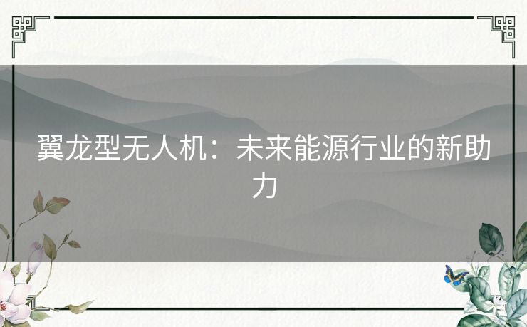 翼龙型无人机：未来能源行业的新助力