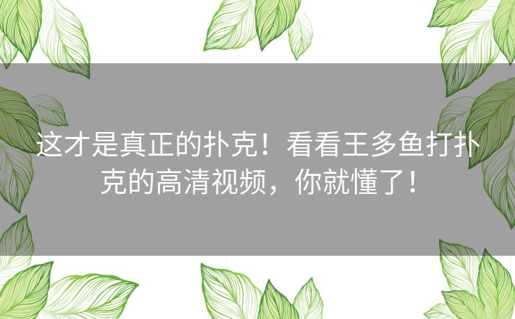 这才是真正的扑克！看看王多鱼打扑克的高清视频，你就懂了！