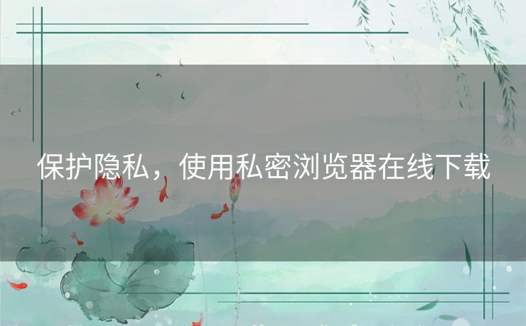 保护隐私，使用私密浏览器在线下载