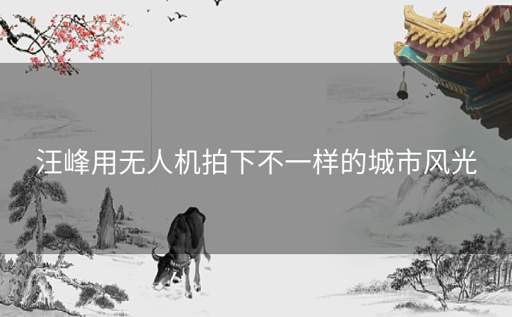 汪峰用无人机拍下不一样的城市风光