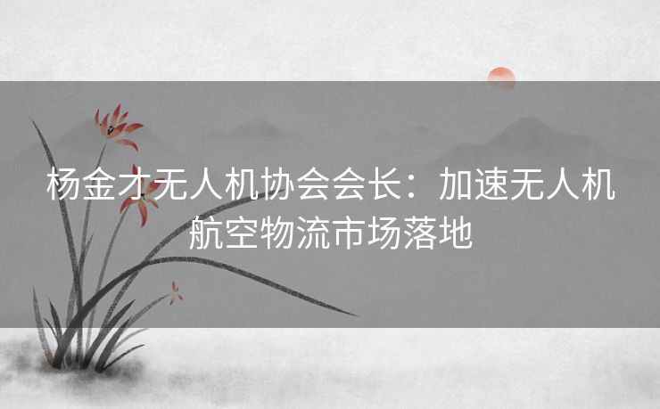杨金才无人机协会会长：加速无人机航空物流市场落地