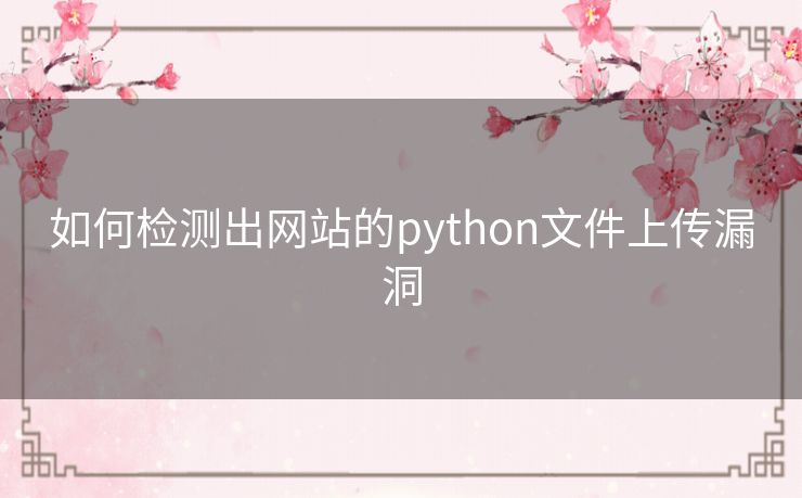 如何检测出网站的python文件上传漏洞
